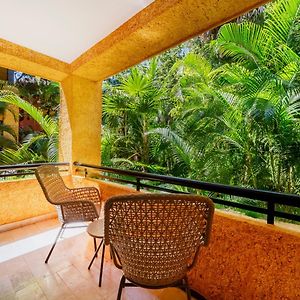 Premium Tropical View